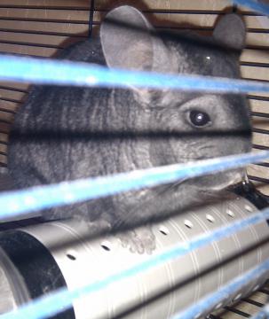 IMAG0026.jpg