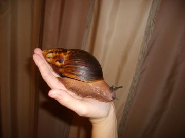 post-370-1326370450_thumb.jpg