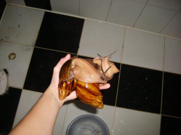 post-370-1326370516_thumb.jpg