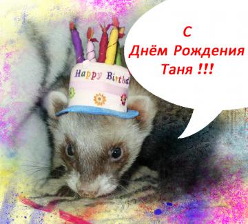 birthday.jpg