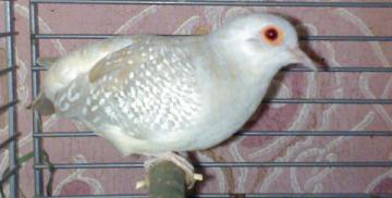 23062010078.jpg