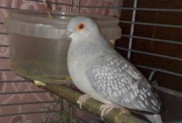 23062010079.jpg