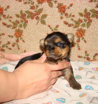 post-209-1307118100_thumb.jpg