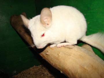 post-208-1339828373_thumb.jpg