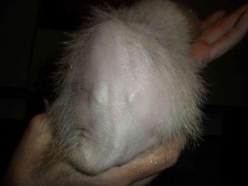 post-562-1322396711_thumb.jpg