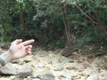 post-978-0-50634300-1356106510_thumb.jpg