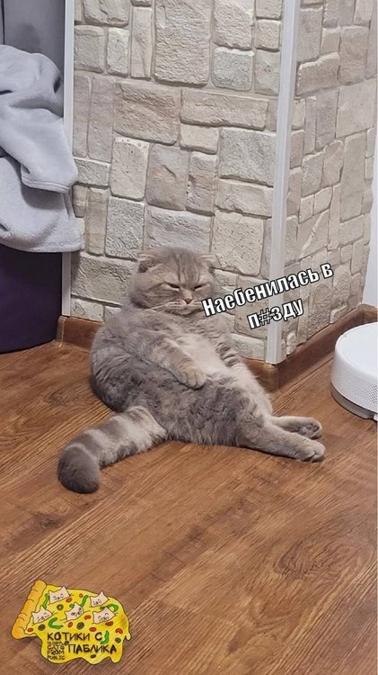 N11qWmM6Doa6hYuHCu3qBPqMmaEHe2XPOss_zFc1mLzF6DKf1hI_Iknbs0BFt9kUcG2od7enoF4zGRrPIXhTVOnq.jpg